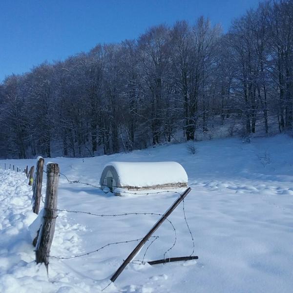 Fontaine vue éloignée sous la neige