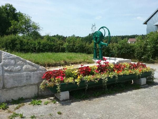 Fontaine vue fleurs