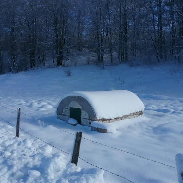 Fontaine vue angle sous la neige